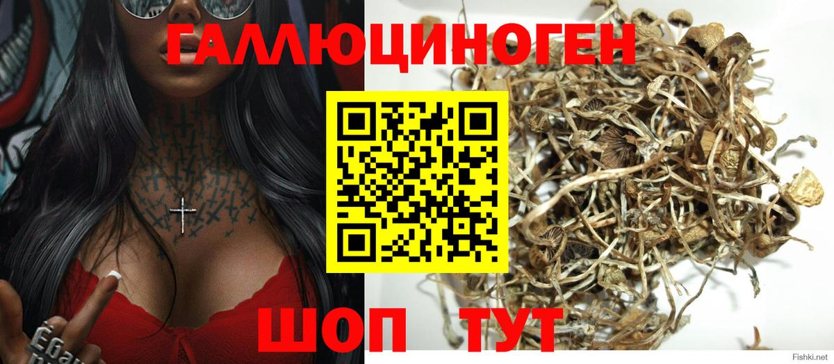 Псилоцибиновые грибы Magic Shrooms Железногорск