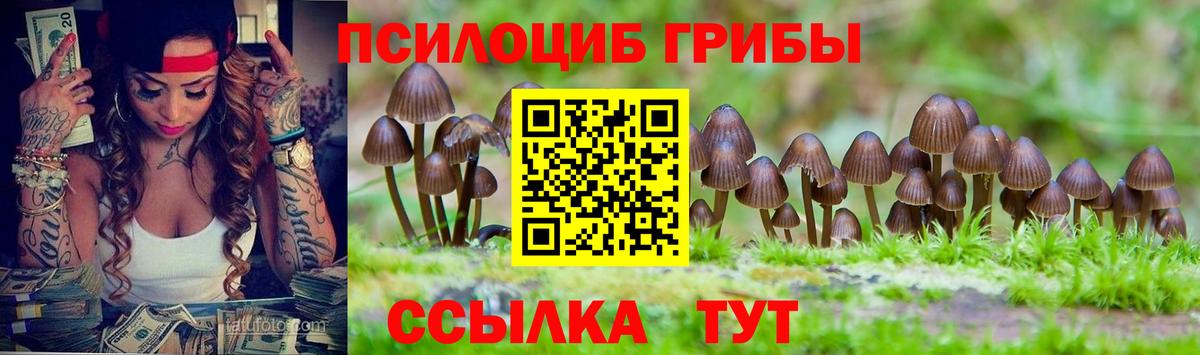 Железногорск  Псилоцибиновые грибы Psilocybine cubensis  Вход с VPN 
